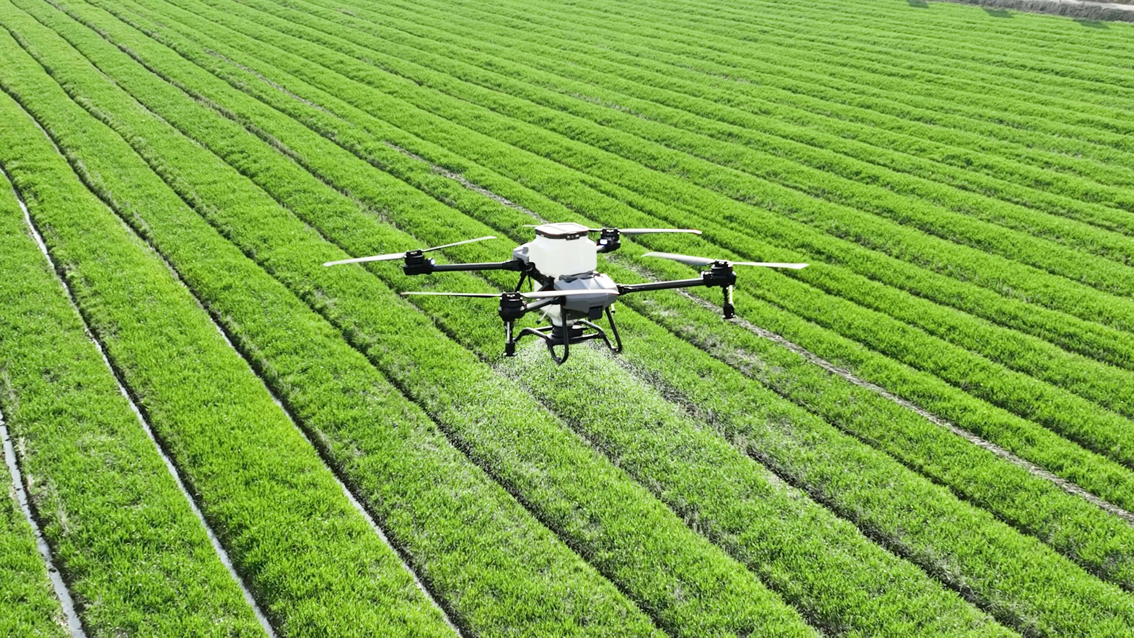 Vista aérea de un dron profesional sobrevolando un cultivo agrícola de precisión
